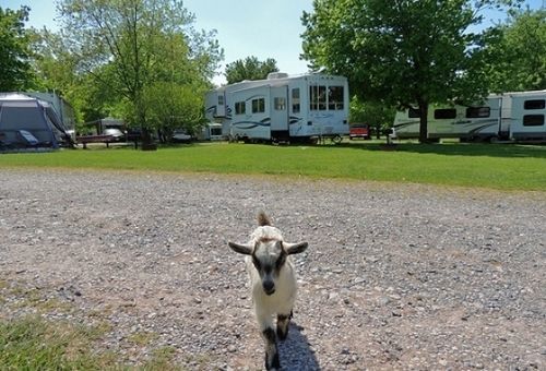 Gettysburg Farm Rv Campground East Berlin Bagian luar foto